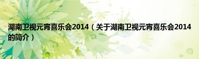 湖南衛(wèi)視元宵喜樂會(huì)2014（關(guān)于湖南衛(wèi)視元宵喜樂會(huì)2014的簡(jiǎn)介）