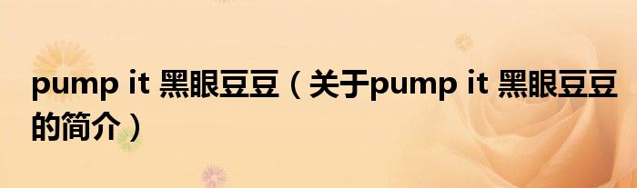 pump it 黑眼豆豆（關(guān)于pump it 黑眼豆豆的簡介）