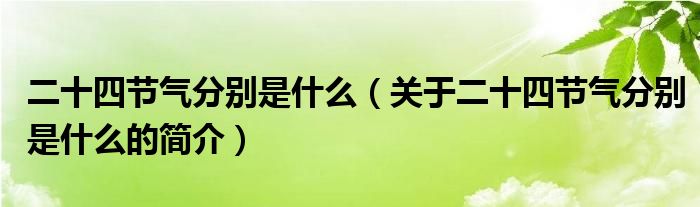 二十四節(jié)氣分別是什么（關于二十四節(jié)氣分別是什么的簡介）