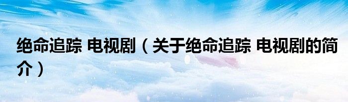 絕命追蹤 電視?。P(guān)于絕命追蹤 電視劇的簡介）