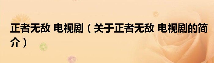 正者無敵 電視?。P(guān)于正者無敵 電視劇的簡介）