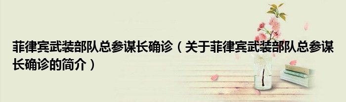 菲律賓武裝部隊總參謀長確診（關(guān)于菲律賓武裝部隊總參謀長確診的簡介）