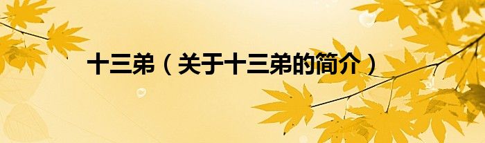 十三弟（關(guān)于十三弟的簡介）