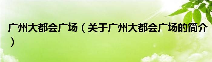 廣州大都會廣場（關(guān)于廣州大都會廣場的簡介）
