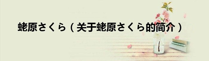 蛯原さくら（關于蛯原さくら的簡介）
