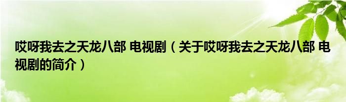 哎呀我去之天龍八部 電視?。P于哎呀我去之天龍八部 電視劇的簡介）
