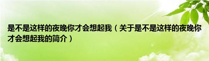 是不是這樣的夜晚你才會(huì)想起我（關(guān)于是不是這樣的夜晚你才會(huì)想起我的簡介）