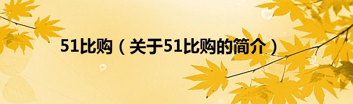 51比購（關(guān)于51比購的簡(jiǎn)介）