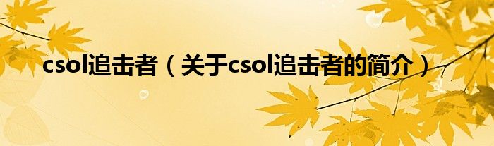 csol追擊者（關(guān)于csol追擊者的簡介）