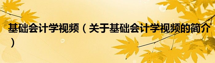 基礎(chǔ)會計(jì)學(xué)視頻（關(guān)于基礎(chǔ)會計(jì)學(xué)視頻的簡介）