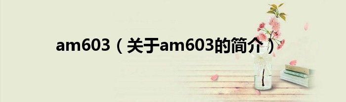 am603（關于am603的簡介）