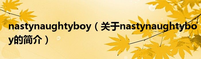 nastynaughtyboy（關(guān)于nastynaughtyboy的簡(jiǎn)介）