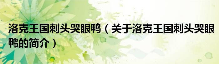 洛克王國刺頭哭眼鴨（關于洛克王國刺頭哭眼鴨的簡介）