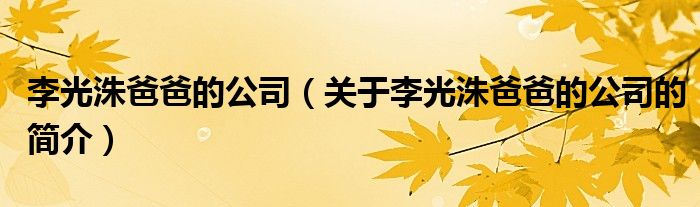 李光洙爸爸的公司（關(guān)于李光洙爸爸的公司的簡(jiǎn)介）