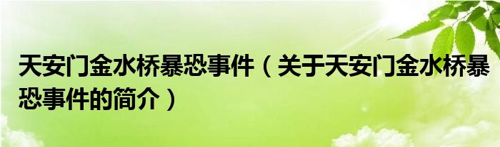天安門金水橋暴恐事件（關(guān)于天安門金水橋暴恐事件的簡介）