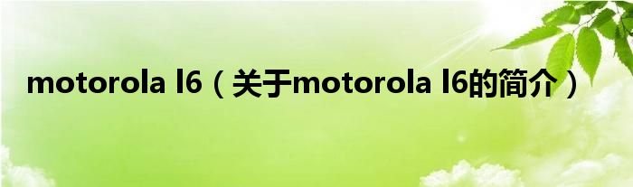 motorola l6（關于motorola l6的簡介）