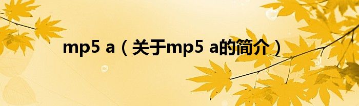 mp5 a（關于mp5 a的簡介）