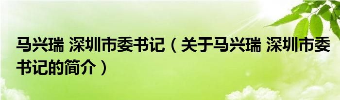 馬興瑞 深圳市委書記（關于馬興瑞 深圳市委書記的簡介）