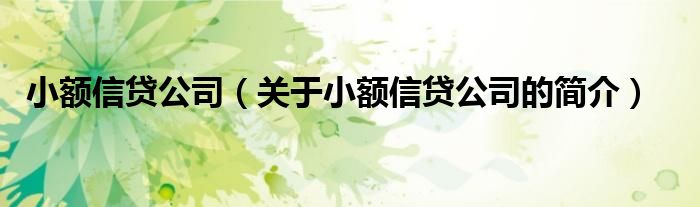 小額信貸公司（關于小額信貸公司的簡介）
