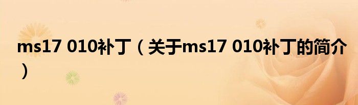 ms17 010補?。P(guān)于ms17 010補丁的簡介）