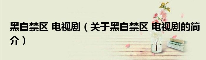 黑白禁區(qū) 電視?。P于黑白禁區(qū) 電視劇的簡介）