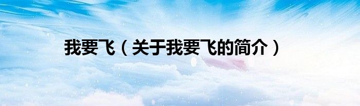 我要飛（關于我要飛的簡介）
