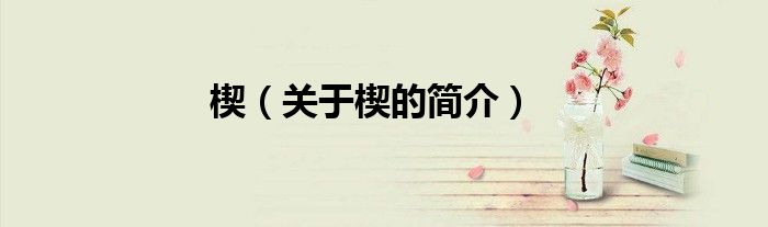 楔（關(guān)于楔的簡(jiǎn)介）