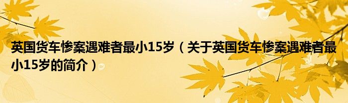 英國(guó)貨車(chē)慘案遇難者最小15歲（關(guān)于英國(guó)貨車(chē)慘案遇難者最小15歲的簡(jiǎn)介）