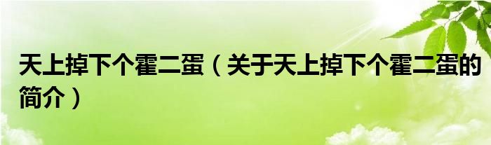 天上掉下個(gè)霍二蛋（關(guān)于天上掉下個(gè)霍二蛋的簡介）