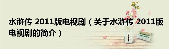 水滸傳 2011版電視劇（關(guān)于水滸傳 2011版電視劇的簡介）