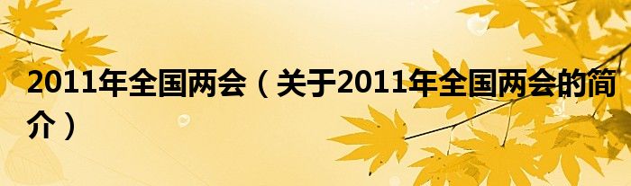 2011年全國(guó)兩會(huì)（關(guān)于2011年全國(guó)兩會(huì)的簡(jiǎn)介）