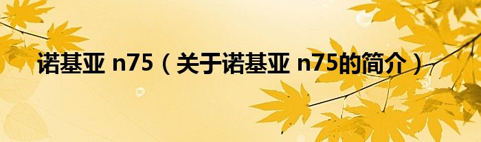 諾基亞 n75（關(guān)于諾基亞 n75的簡介）