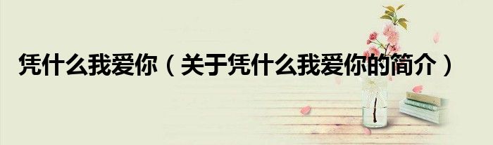憑什么我愛你（關(guān)于憑什么我愛你的簡介）