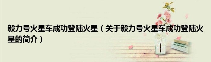 毅力號(hào)火星車成功登陸火星（關(guān)于毅力號(hào)火星車成功登陸火星的簡介）