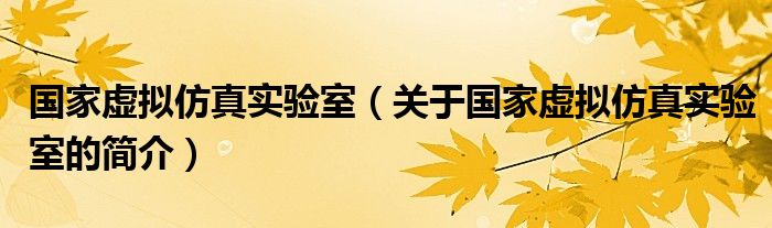 國家虛擬仿真實驗室（關于國家虛擬仿真實驗室的簡介）