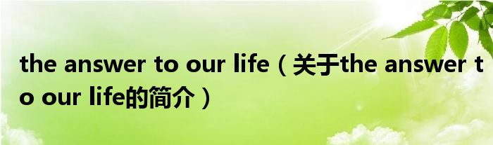 the answer to our life（關(guān)于the answer to our life的簡介）