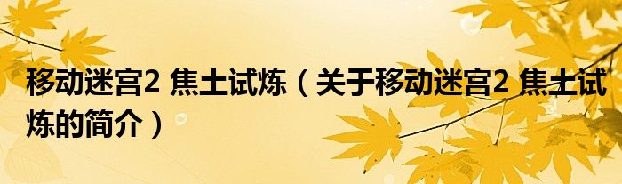 移動(dòng)迷宮2 焦土試煉（關(guān)于移動(dòng)迷宮2 焦土試煉的簡(jiǎn)介）