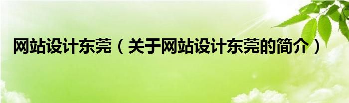 網(wǎng)站設計東莞（關于網(wǎng)站設計東莞的簡介）