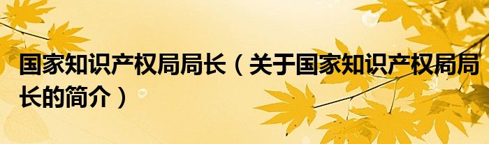 國家知識(shí)產(chǎn)權(quán)局局長（關(guān)于國家知識(shí)產(chǎn)權(quán)局局長的簡(jiǎn)介）