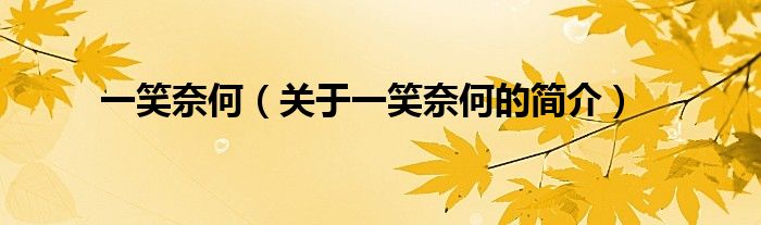 一笑奈何（關(guān)于一笑奈何的簡介）