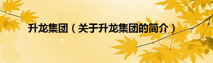 升龍集團（關于升龍集團的簡介）