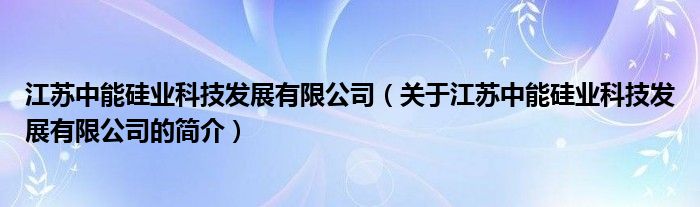 江蘇中能硅業(yè)科技發(fā)展有限公司（關于江蘇中能硅業(yè)科技發(fā)展有限公司的簡介）