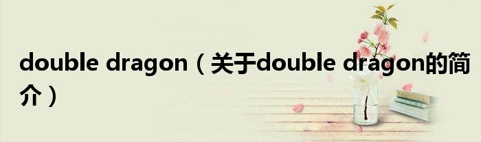double dragon（關于double dragon的簡介）