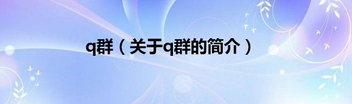 q群（關于q群的簡介）