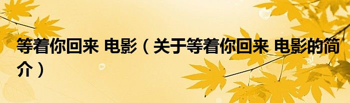 等著你回來 電影（關(guān)于等著你回來 電影的簡(jiǎn)介）