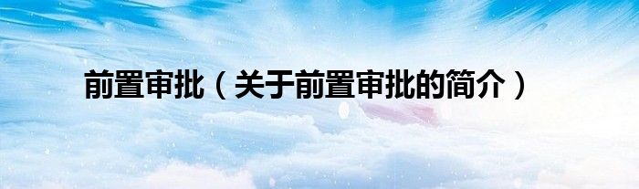 前置審批（關(guān)于前置審批的簡介）