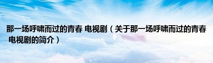 那一場呼嘯而過的青春 電視?。P(guān)于那一場呼嘯而過的青春 電視劇的簡介）