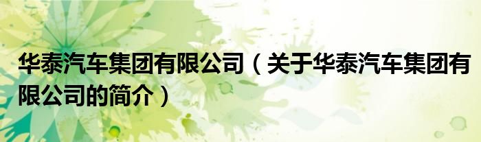 華泰汽車集團有限公司（關(guān)于華泰汽車集團有限公司的簡介）
