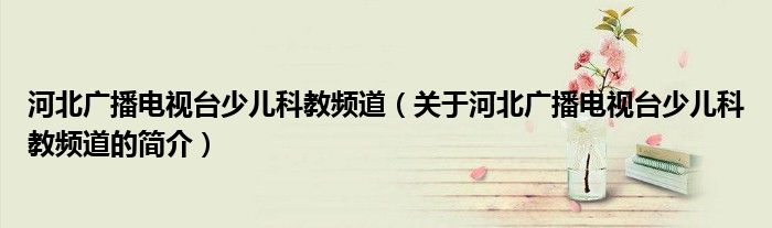河北廣播電視臺少兒科教頻道（關于河北廣播電視臺少兒科教頻道的簡介）