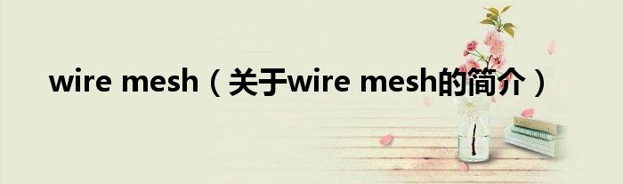 wire mesh（關(guān)于wire mesh的簡介）